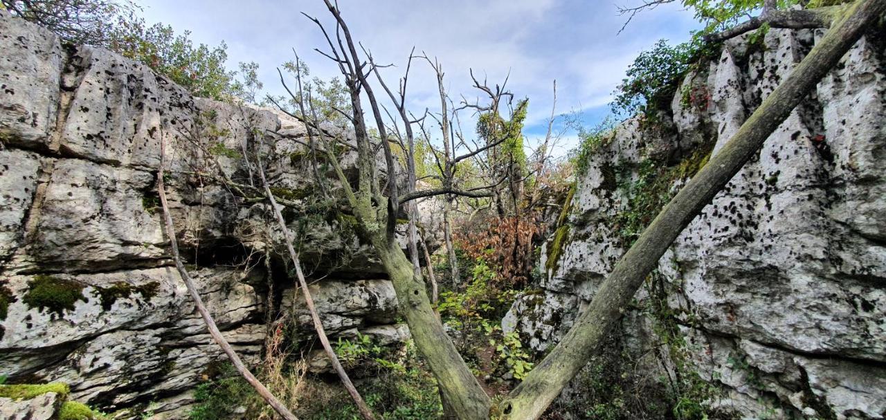 La Grange - Chez Gisi - Fuer Naturliebhaber, Abenteurer Und Geniesser Rocles  Luaran gambar