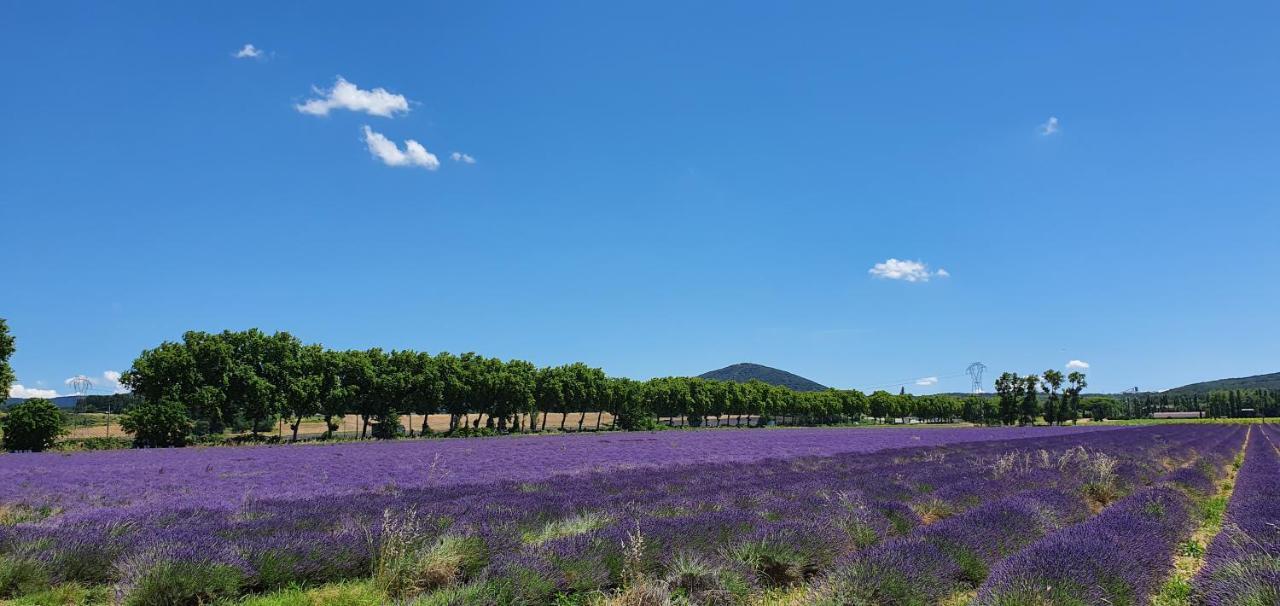 La Grange - Chez Gisi - Fuer Naturliebhaber, Abenteurer Und Geniesser Rocles  Luaran gambar